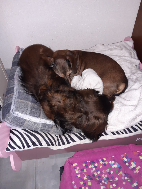 [Image: 20220201-064715.jpg]