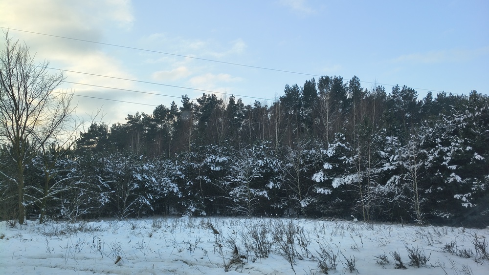 w_białym_garniturku