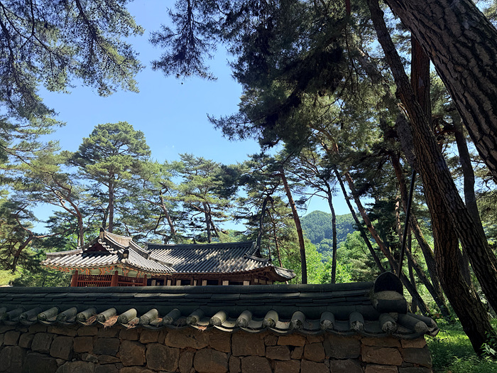 Kakao-Talk-20260601-082316806-20
