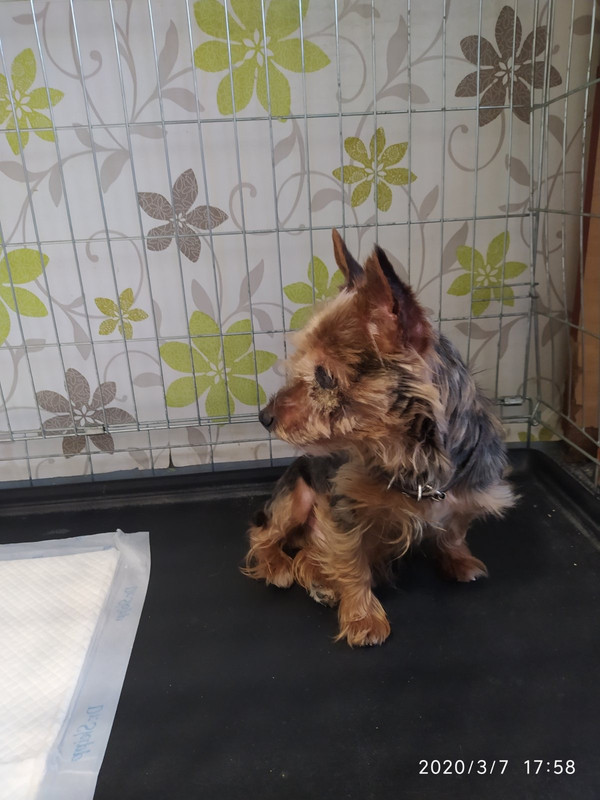 0AB4E6B4-F8A6-4146-99BB-E7A841315FF2