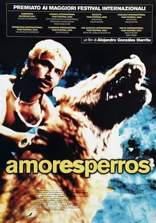 Amores perros (2000).mkv BDRip 576p x264 AC3 iTA-ENG