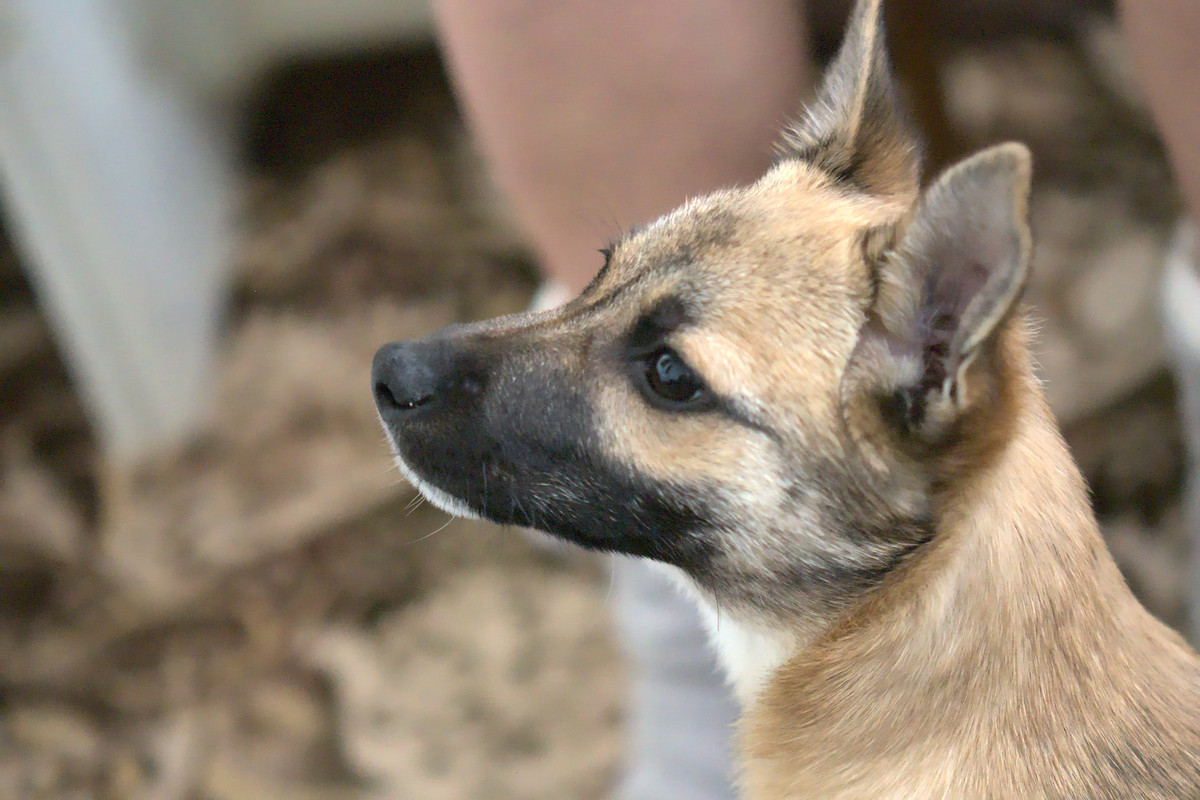 91970B96-A4E9-43C8-922F-0043836909F5