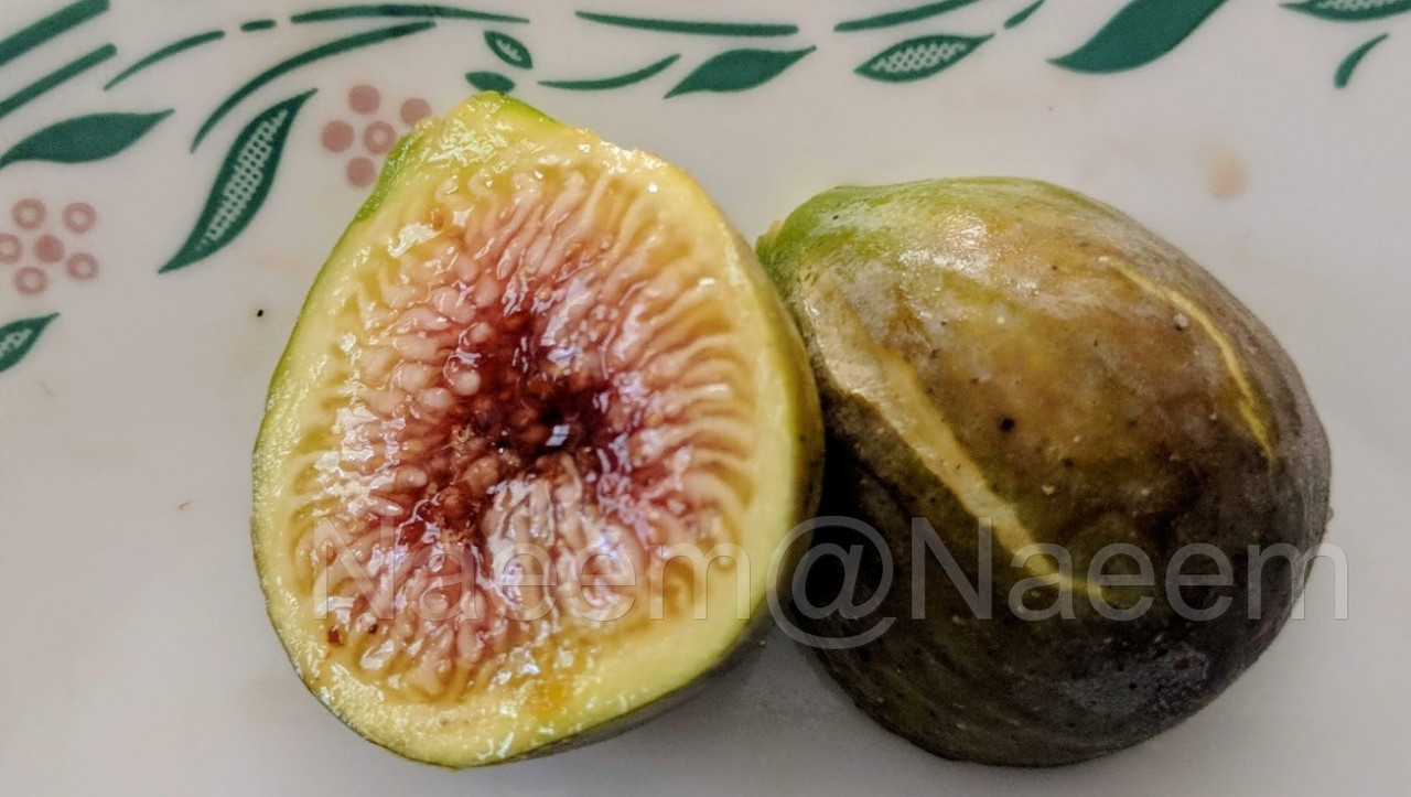 Sweet Joy 09-27-19  1