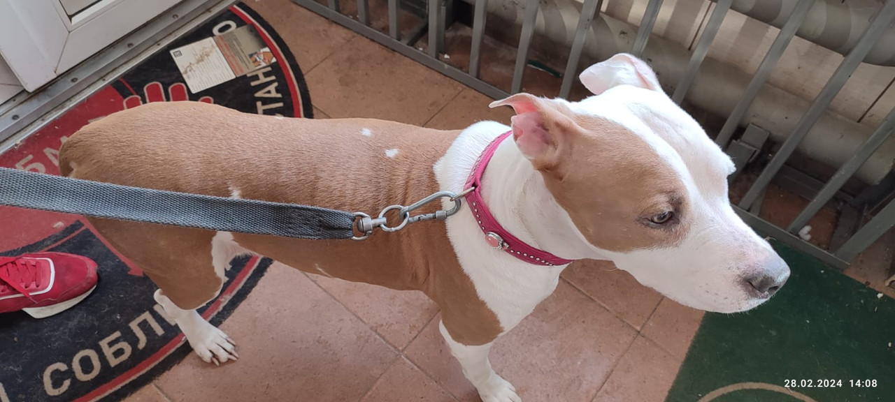 WhatsApp Image 2024-02-28 at 14.09.29 (1)