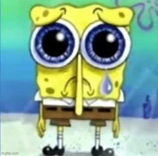 sad bob