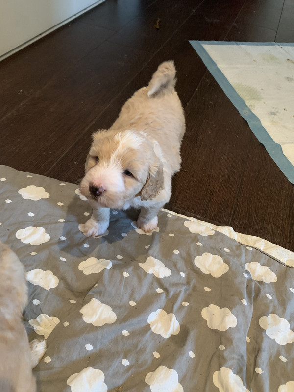 2E5C9EDD-3F9B-4586-AF39-2F867031FF5F