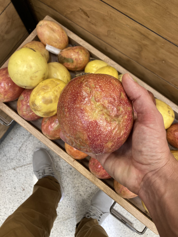 BAED5110-4BF5-41E0-AD5E-3F628180C034