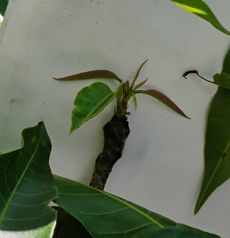 IMG_20250919_151929062~2