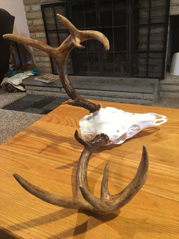 8C4ED053-1087-4644-836F-887771AA30EB