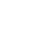 Módulo fiscal