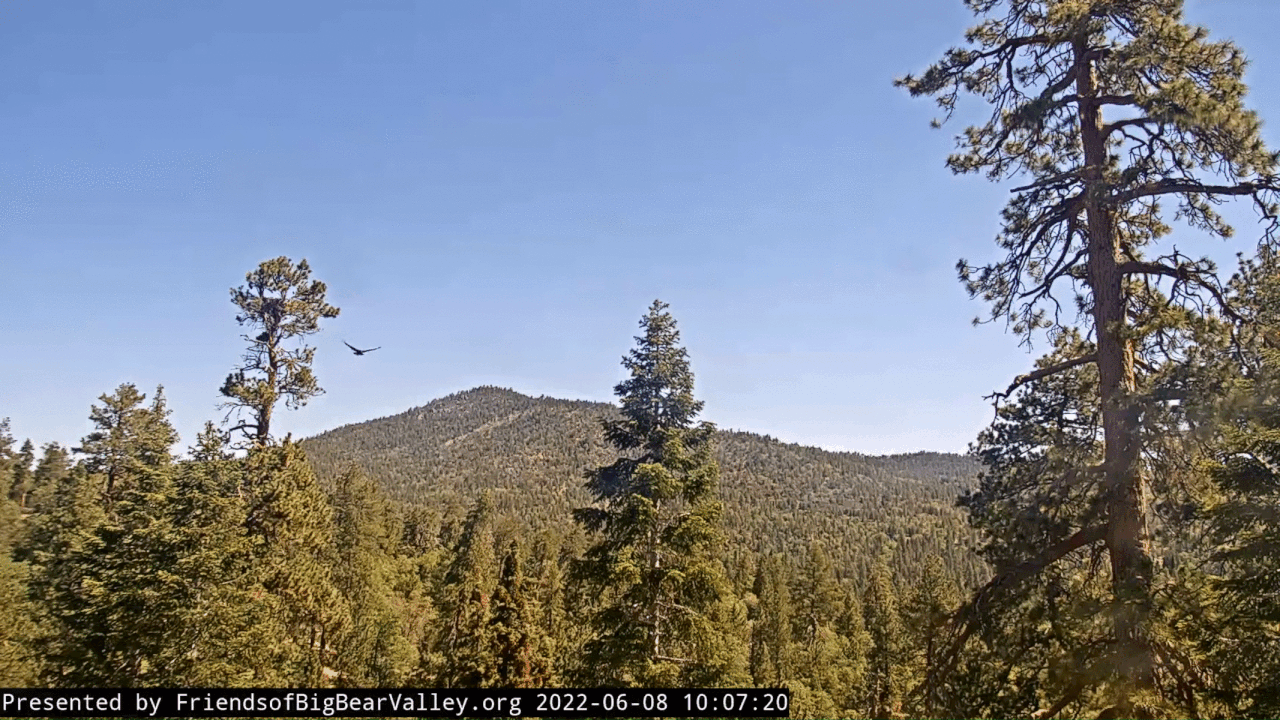 Webp.net-gifmaker (8)