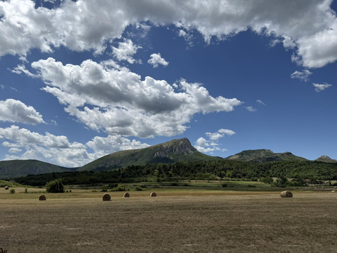 IMG-0845cb65828ea0903e1ae387cf1834ae-V.j