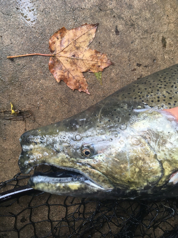 06BEDC27-0011-4E31-A9F0-C650452F1AE8