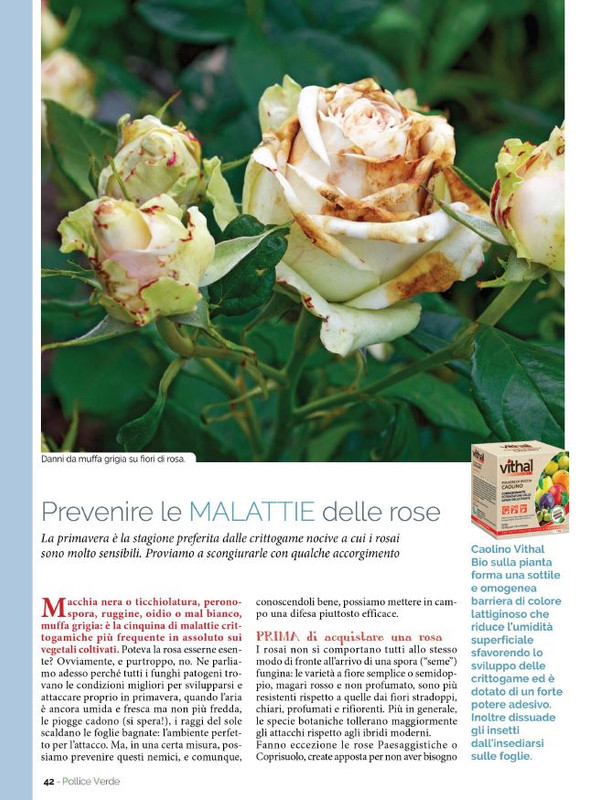 Pol Ver Mar 2023 (7)