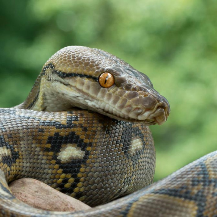 BOTAK189: Slot Mudah Scatter Dengan Pola Terupdate Jamin Menang Besar