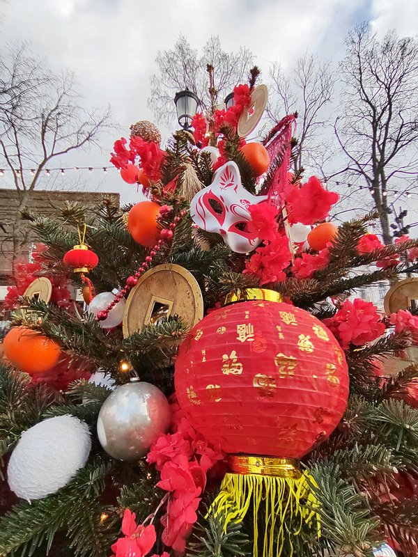 https://i.postimg.cc/Njtyk1Qh/10-IMG-20250202-151402.jpg