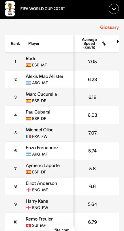 IMG 8141