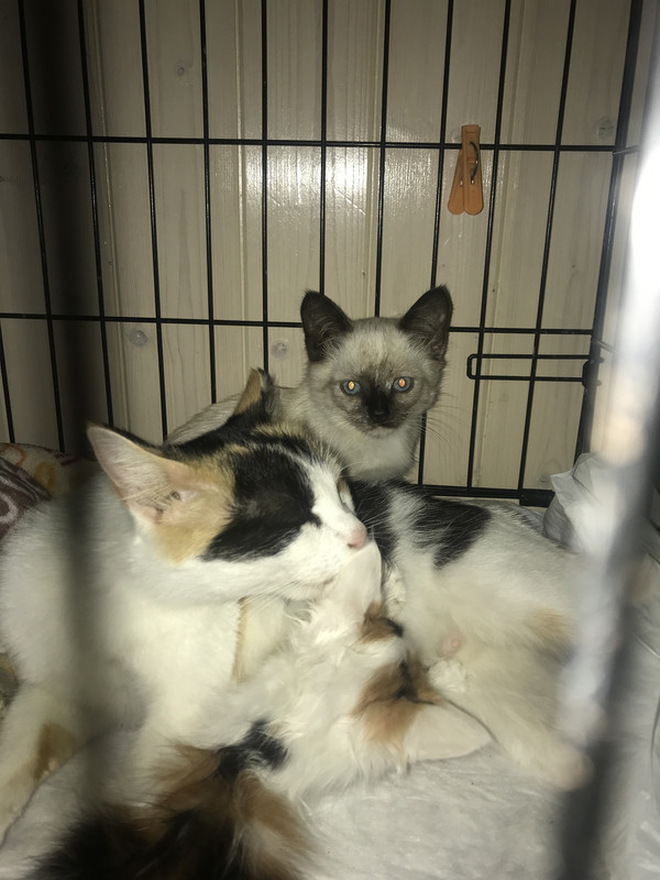 F3F712BF-C7A0-4403-8230-47D36089BA3E