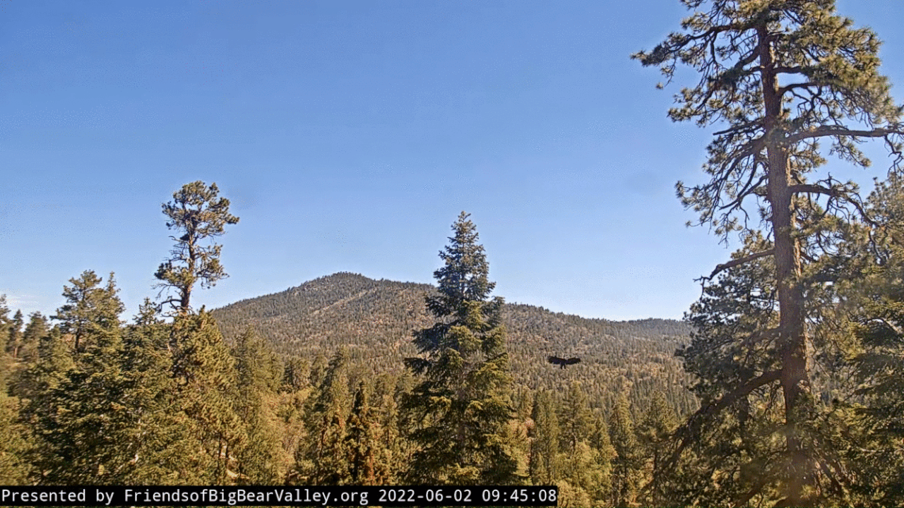 Webp.net-gifmaker (3)