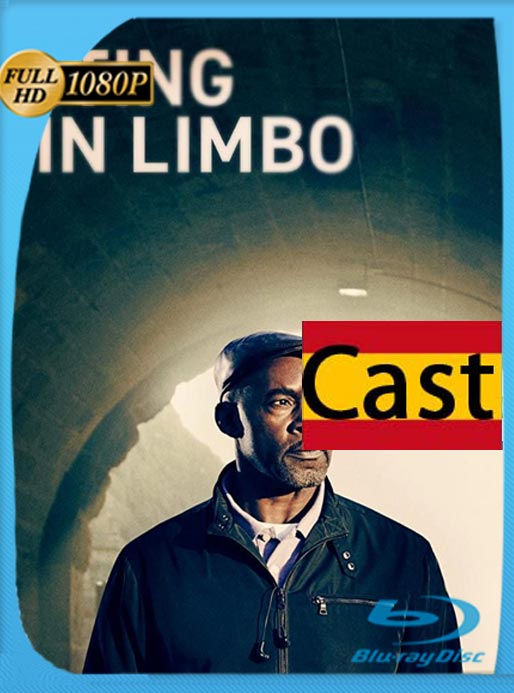 En El Limbo (2020) 1080p Castellano [GoogleDrive]