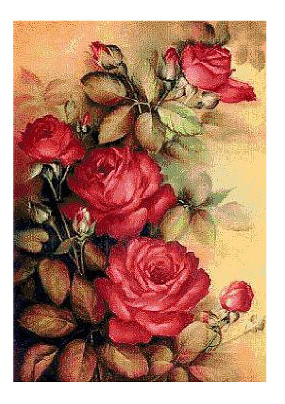 Levron-Roses-001