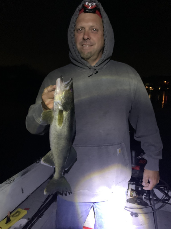 2E277F3F-58FC-410D-B253-7FEA647DF470