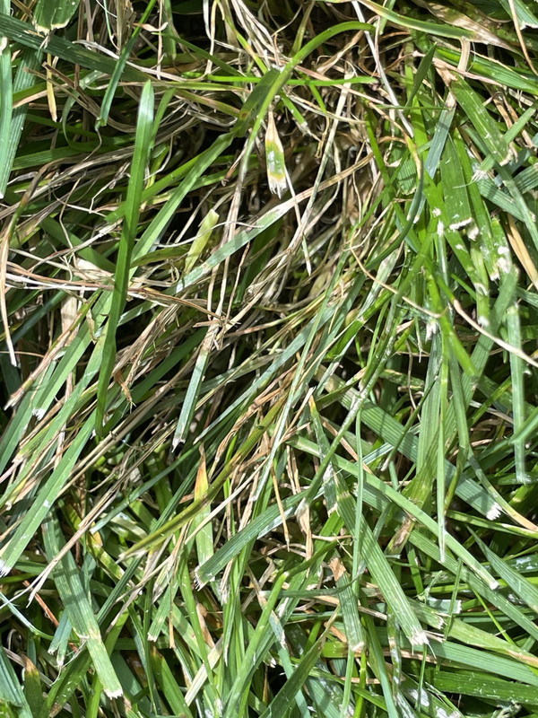 B3F0CF93-E8E1-4E9F-8CCD-9E36E1112DF6