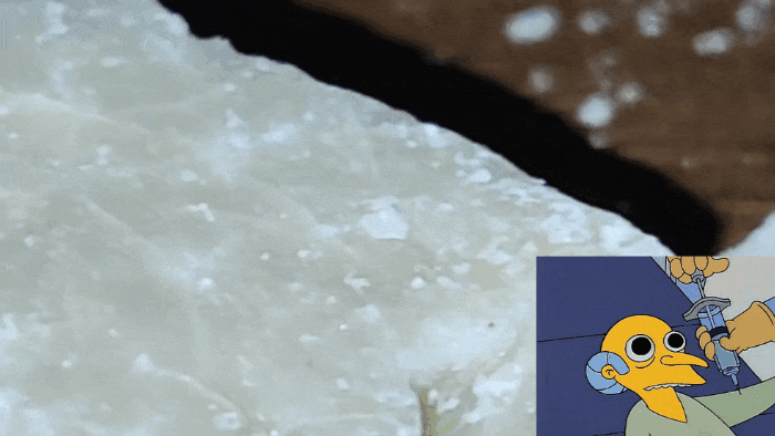 GIF-20260406-094434-886.gif