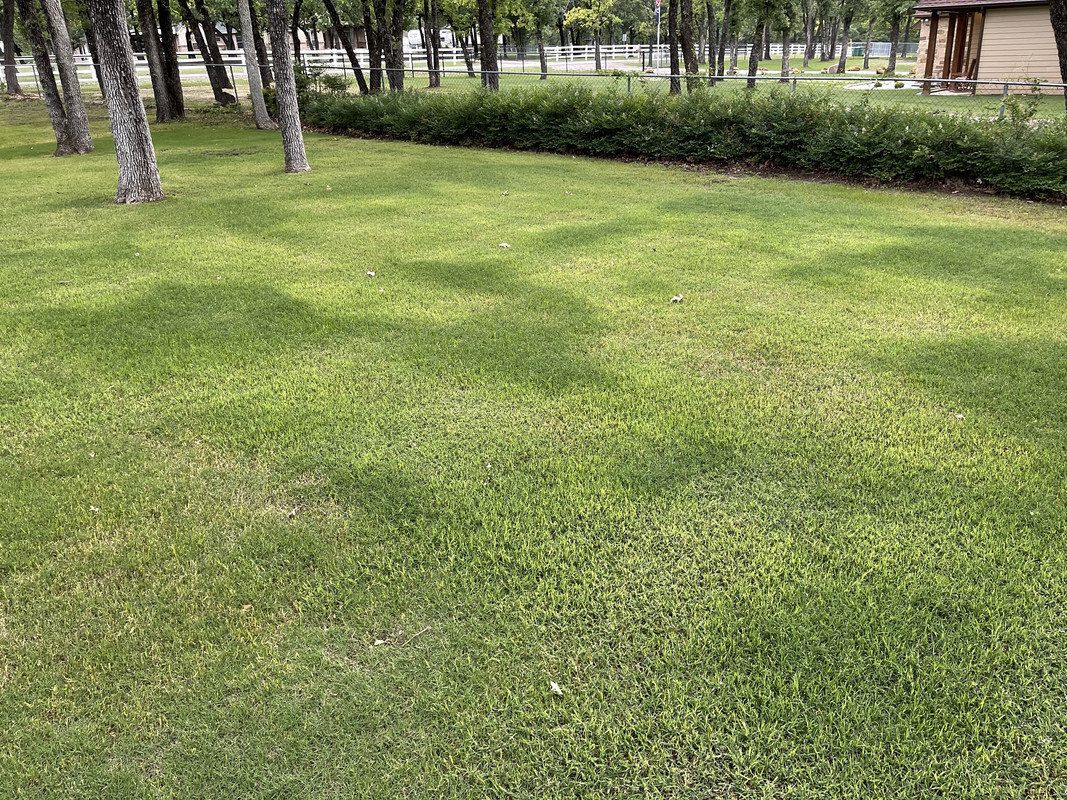 8B1C9E1D-A8A5-45A5-9DA6-932702A0D1F1