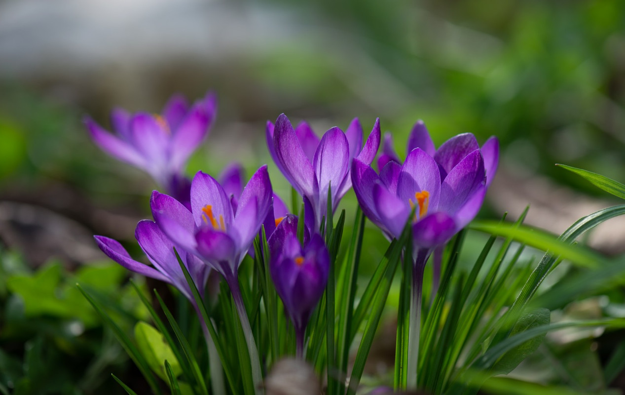 IMG-5d0c0770a9032c9496f2c6f1f9c629e9-V