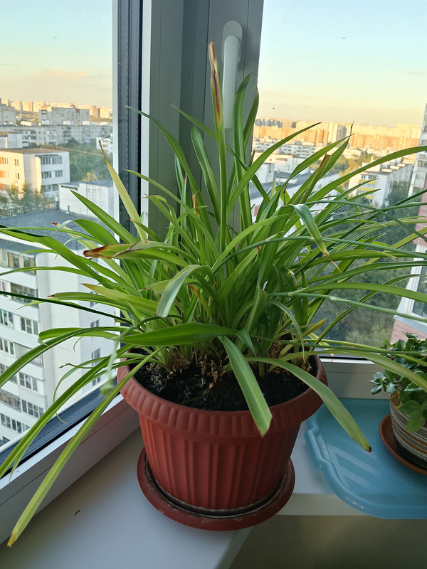 IMG20260904183313