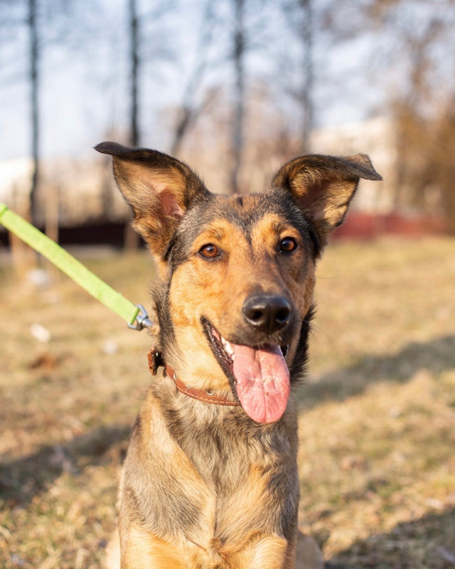 D7AC24B2-6209-4DDF-AFDD-A52FF468E9B7