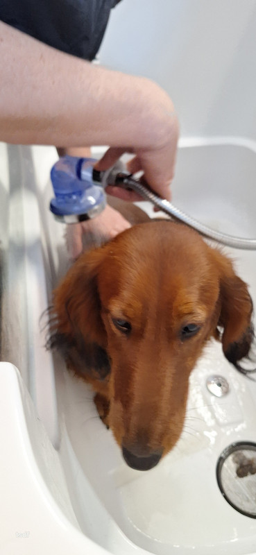 [Image: 20250305-154858.jpg]