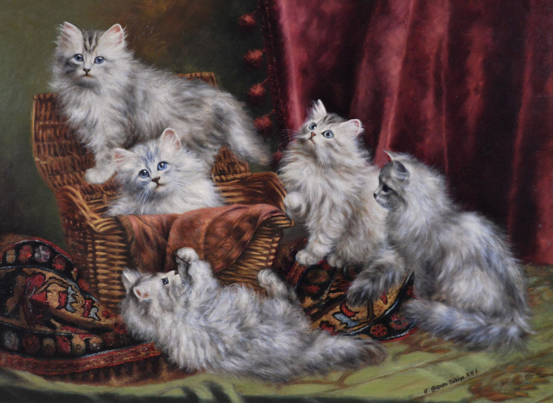 talboysaa-greypersians1-master-1