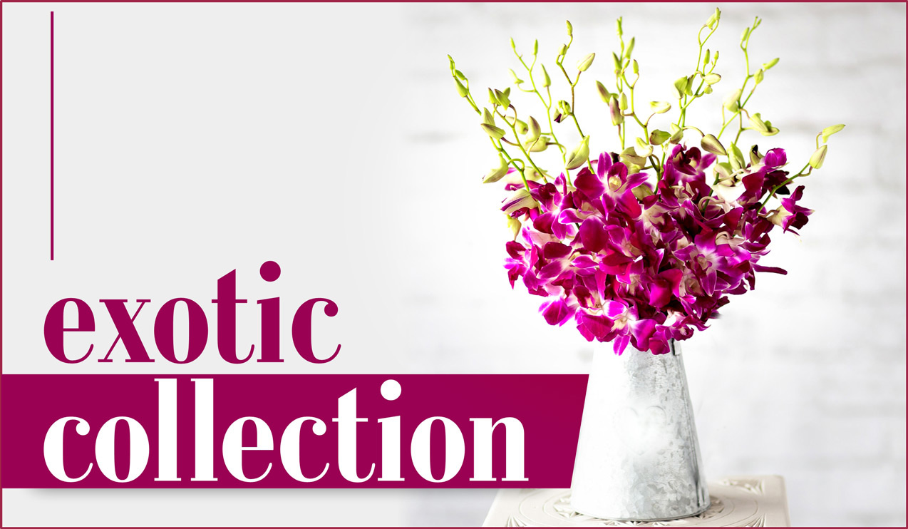 Birthday Flower Bouquet Delivery In Chennai Best Flower Site