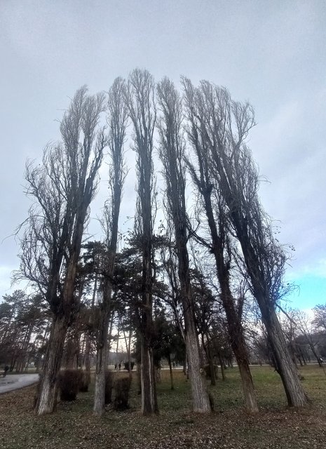 20240107-114012.jpg