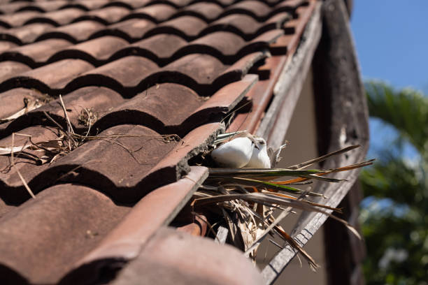 Tile Roofing