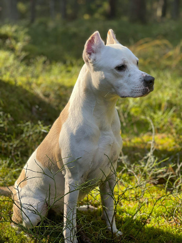 4BC2C2A4-FE91-4298-91EF-1BABCB7C306C