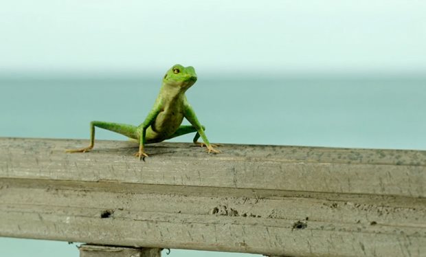 Here_s_how_Death_in_Paradise_brings_Harry_the_Lizard_to_life
