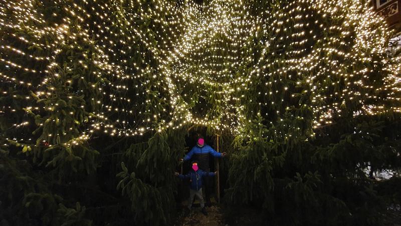 DESDE GOTINGA HASTA EL HARZ EN NAVIDAD - Blogs de Alemania - HAMELIN, HILDESHEIM Y GOSLAR (23)