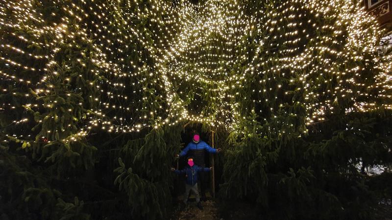 HAMELIN, HILDESHEIM Y GOSLAR - DESDE GOTINGA HASTA EL HARZ EN NAVIDAD (23)