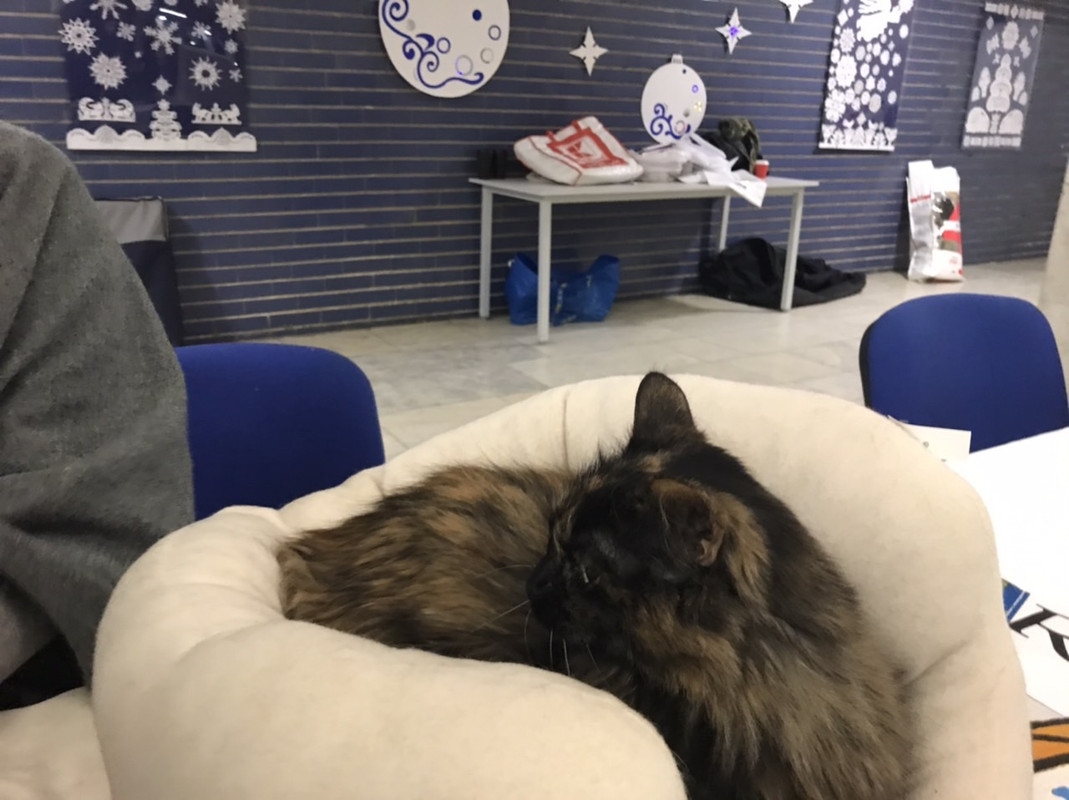 4AD6BA00-F986-4BE7-B257-E5E20A16FB54