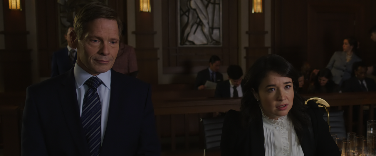 The.Good.Fight.S06E01.The.Beginning.of.the.End.2160p.10bit.PMTP.WEB-DL.DDP5.1.HEVC-Vyndros.mkv_snaps