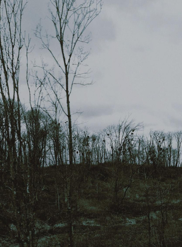 F8FED254-39CF-49E0-98D5-E78DF1537C9A