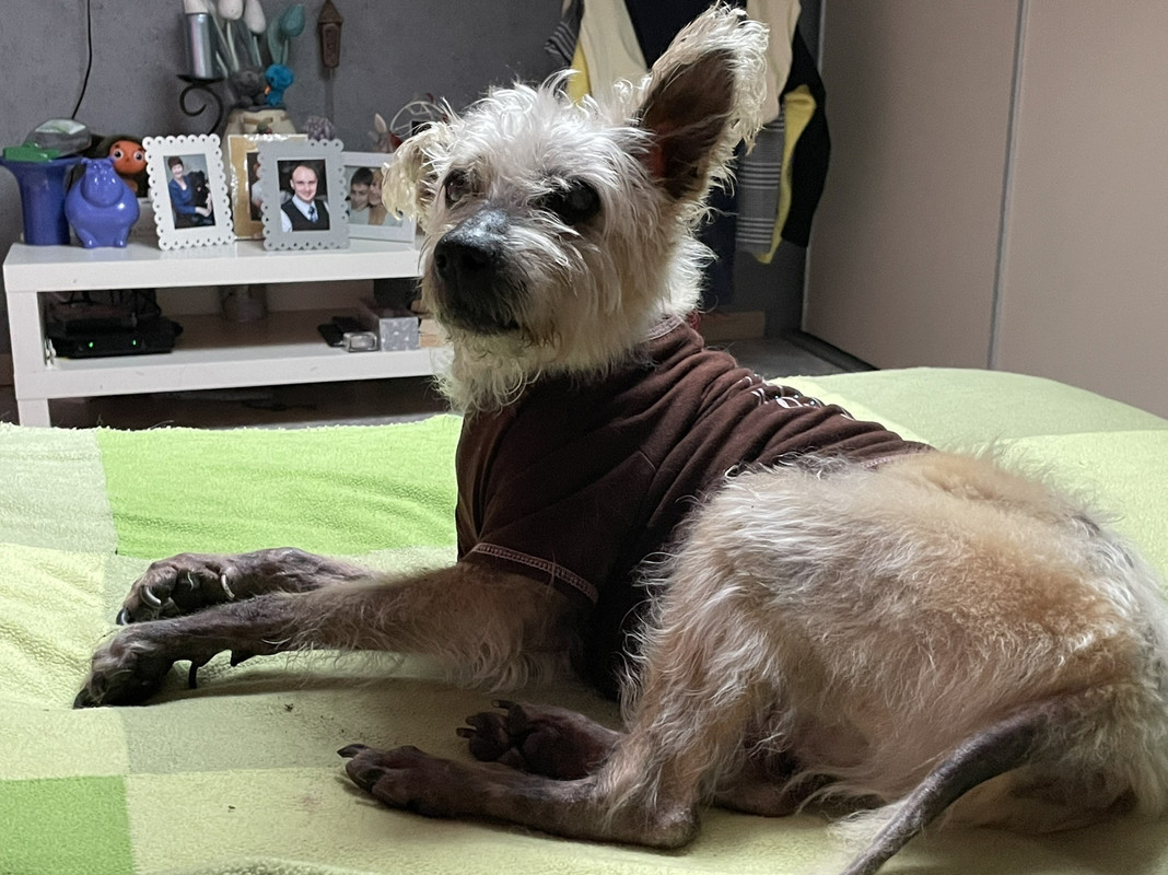 FB0BFCF2-2DAE-49B8-A8FB-6C22E15BE96F