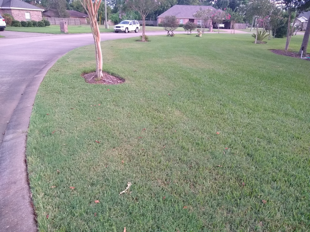 IMG_20200813_195637115