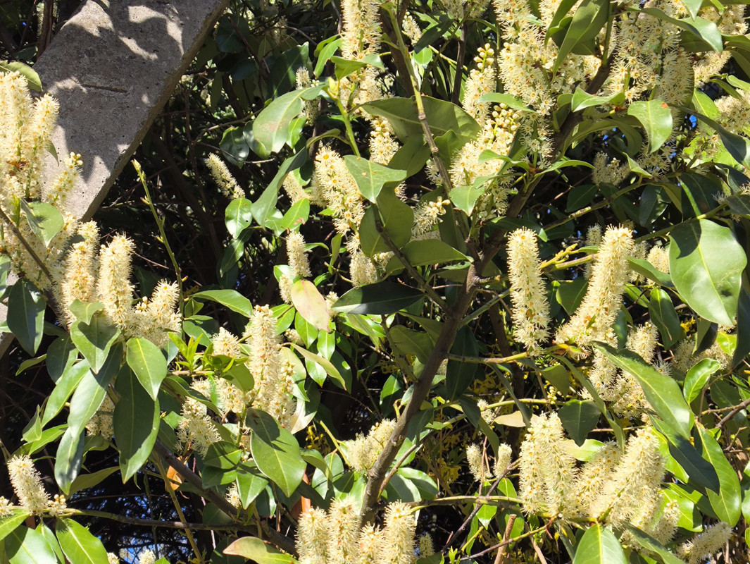 25 апреля 2025 023