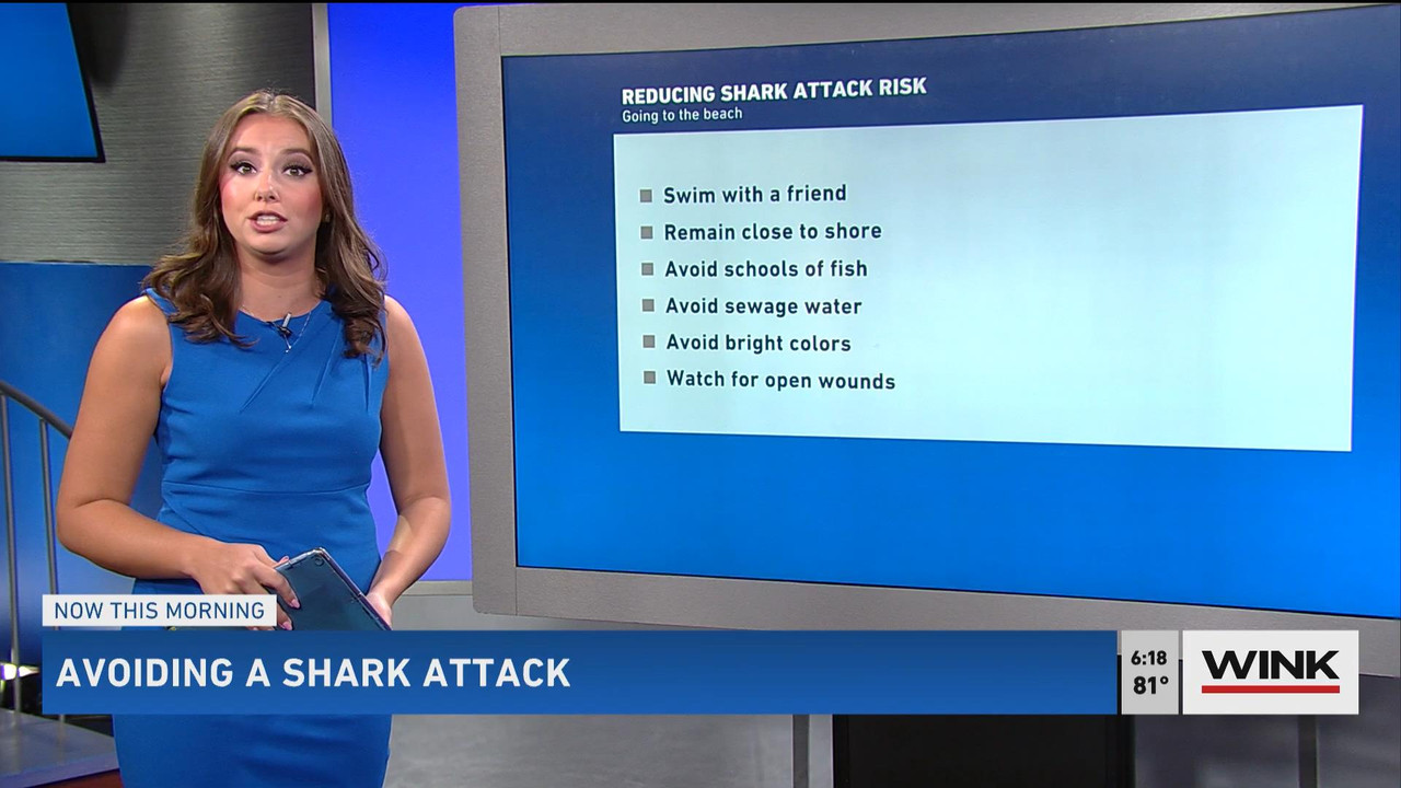 08.01 - 11.00.00 - WINK News @ 6 00AM Sunday. Local news, sports and ....ts_snapshot_00.15.26_[2021.