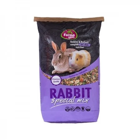 rabbit_2