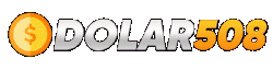 DOLAR508 Logo